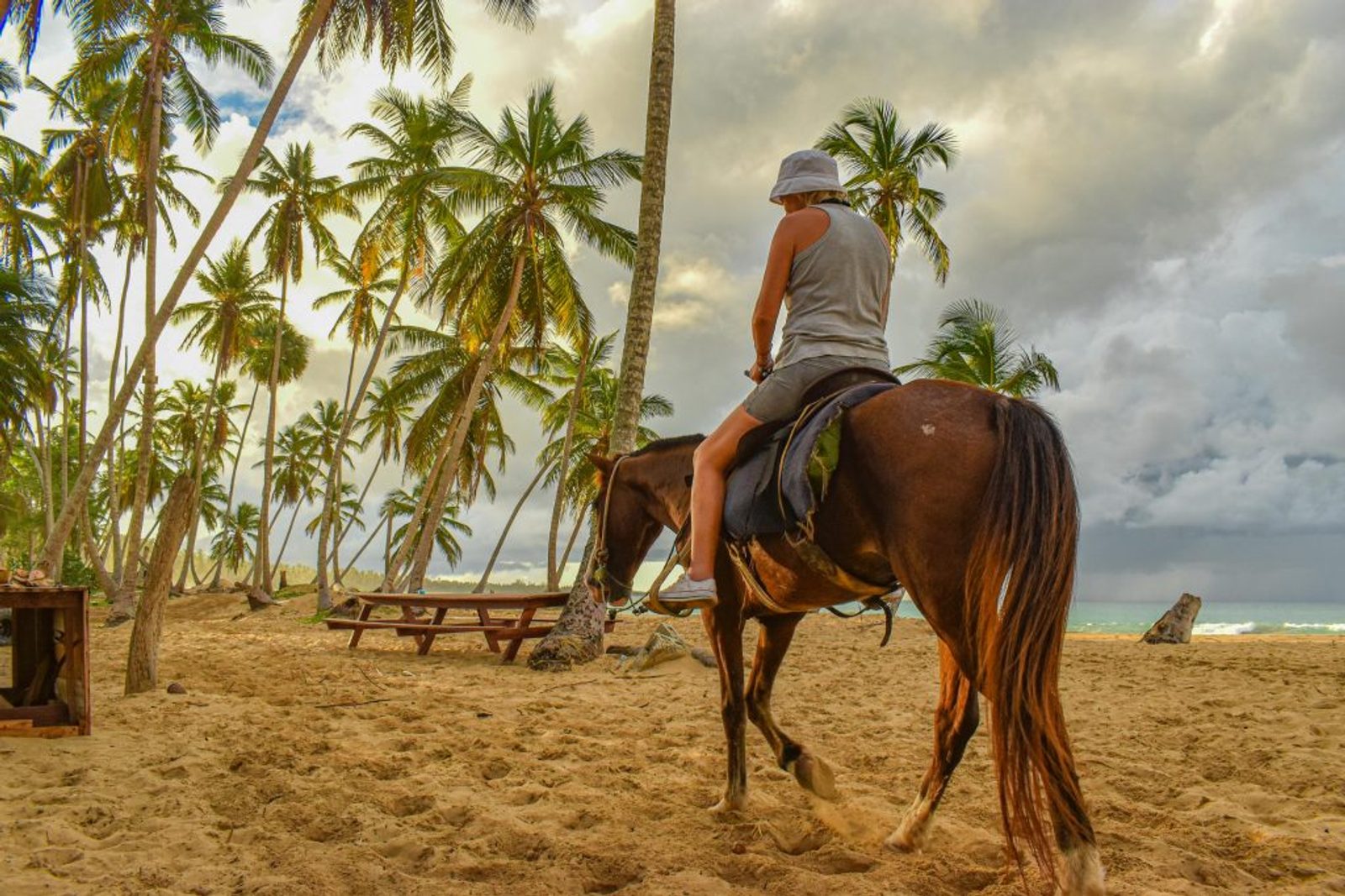 Horseback on the beach