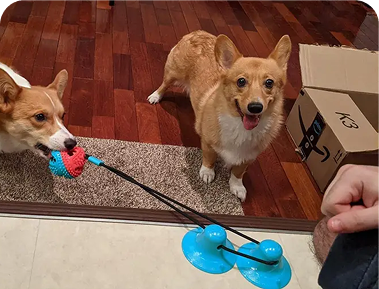 Apartment-Living-img